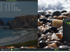 Bodhi Linux Screenshot 1