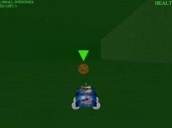 Stage 4: The small intestines