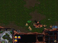 Zerg egg morphing
