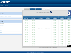 Screenshot from Local Customer interface