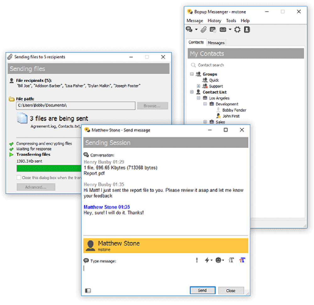 Enterprise IM client for LAN and Internet