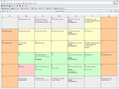 Month View