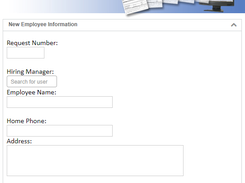 HR - New Hire Provisioning Form