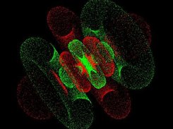 Hydrogen-like orbitals