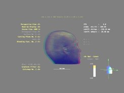 Stereoptic display mode (red/green anaglyphs)