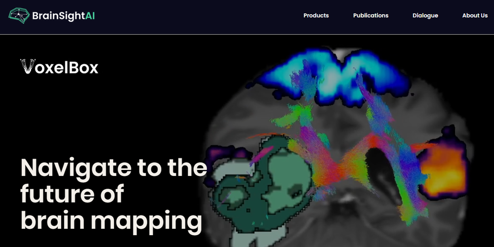 BrainSightAI Screenshot 1