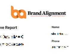  Brand Alignment Screenshot 1