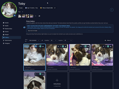 Dog Profile Page