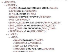 Sample of BeerXML recipe Output