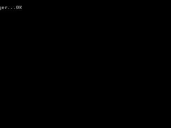 Bricks v0.0.1 on a PC/i386 (VMware Workstation)