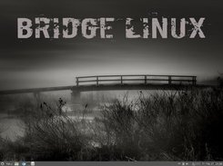 Bridge Linux Cinnamon 2012.2