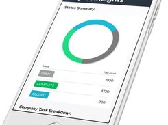 Bridgit Software Project Insights