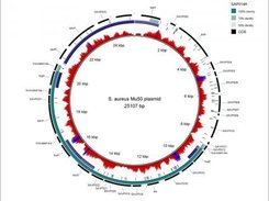 S. aureus showing read mapping coverage