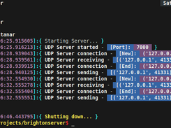 Server Data Display - UDP