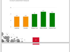 Feedback reports are built in MS Word, giving you the ability to create a beautiful report.  We have many templates designed by top graphic designers to get you started.