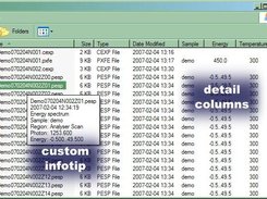 infotip and parameter columns