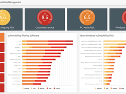 Brinqa's Vulnerability Risk Service Dashboard