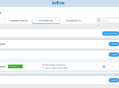 Britive Screenshot 1