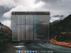 Terminal