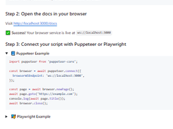 Browserless Screenshot 1