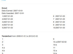 Individual Scout Record