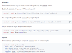 ngrok Screenshot 1