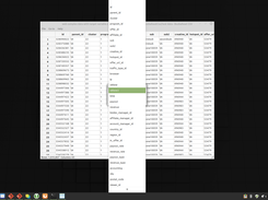 Buckwheat CSV Screenshot 3
