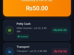 Cash summery