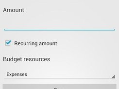 Add Budget Entry