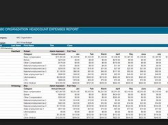 BudgetPak Expenses Report