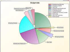 Budget distribution for month