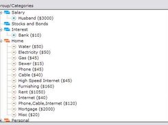 Budget groups and categories