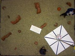 Year 2010, webcam view of the field.