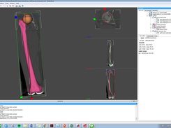 Inspection (tutorial)