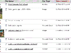 File storage and sharing