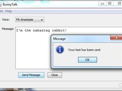 Send a message to your rabbit
