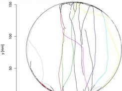 Analysis - trajectorie