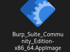 Burp Suite Community Edition Screenshot 3