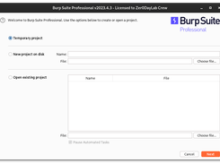 Burp Suite Professional Screenshot 1