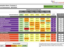 BCMM Scorecard