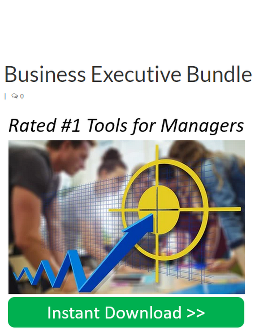 Business Executive Bundle Screenshot 1