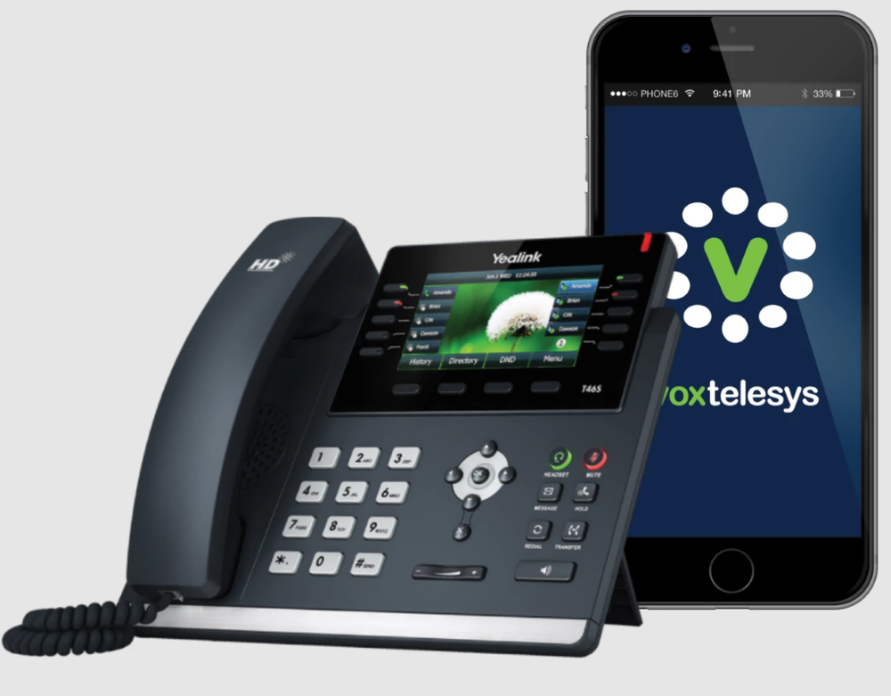 Voxtelesys Screenshot 1