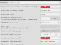 The preferences dialog of the extension.