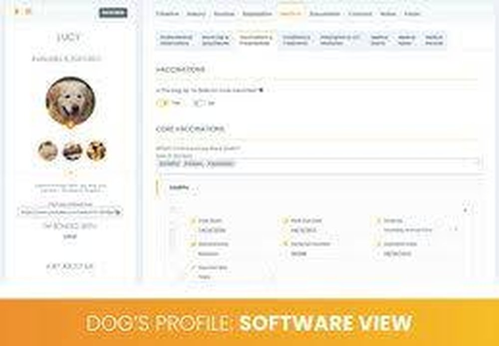 Buzz to the Rescues Screenshot 1