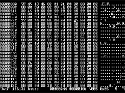 bvi editor for binary files (hex editor) Screenshot 1