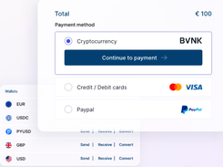 BVNK Screenshot 1