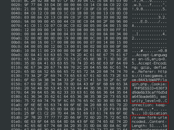 Heartbleed vulnerability