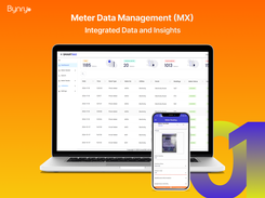 Meter Data Management (MX)