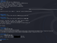 Download and use bypass hash