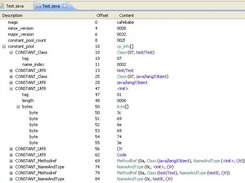 View the byte code with an editor